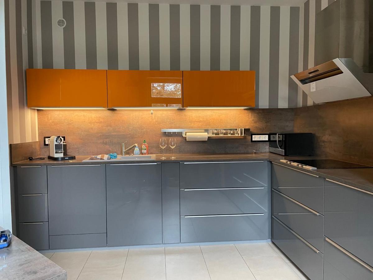 Apartment Helle Terrassenwohnung In Traumlage Von Dresden